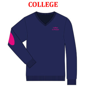PULL VOLTAIRE FILLE COLL PTL